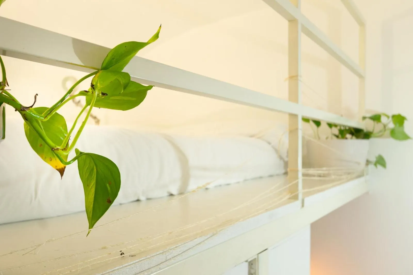 Cozy Suite Saint John Rome Italy